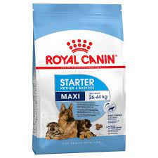 Royal Canin Maxi Strater Mother & baby Dog - 15 kg
