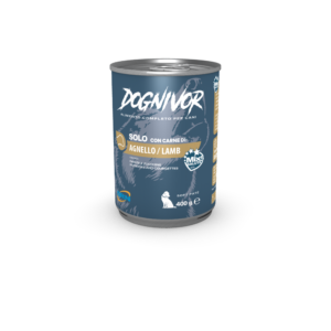 DRN Dognivor Paté con Agnello Patate e Zucchine - 400 gr