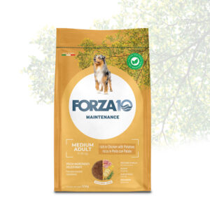 FORZA 10 MAINTENANCE Medium Adult - Pollo con Patate 12 kg