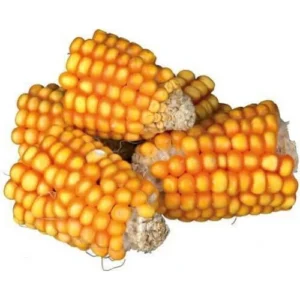 TRIXIE Pezzi di Pannocchie di Mais - 300 gr